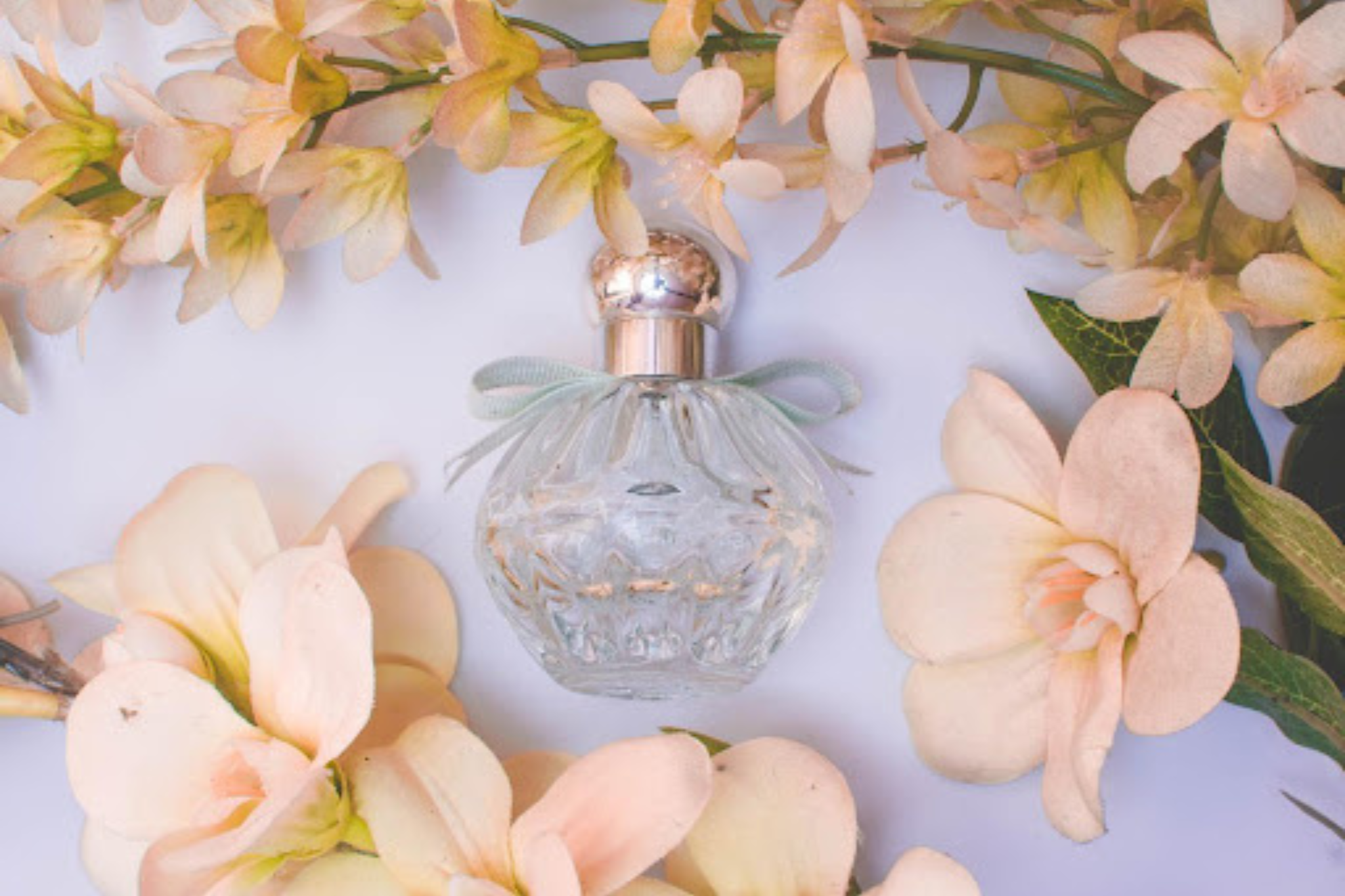 What are Pheromones Perfumes?
